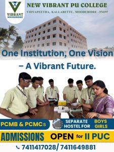 vibrant pu college